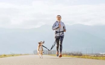 Kutyával futás a szabadban