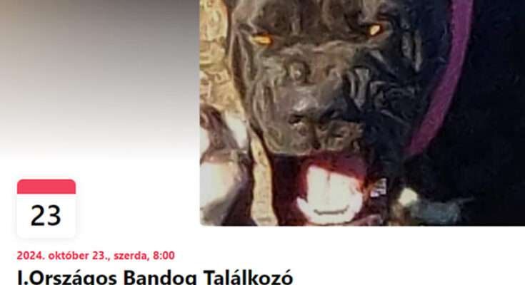Bandog találkozó