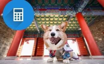 kutya csoki kalkulátor