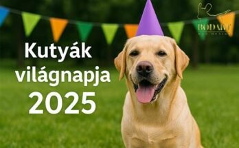 kutyák világnapja